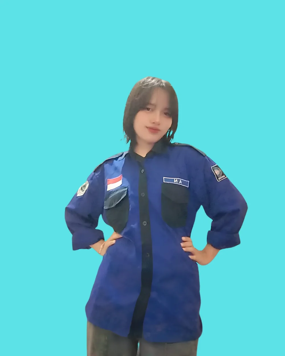 Aulia An Najmi